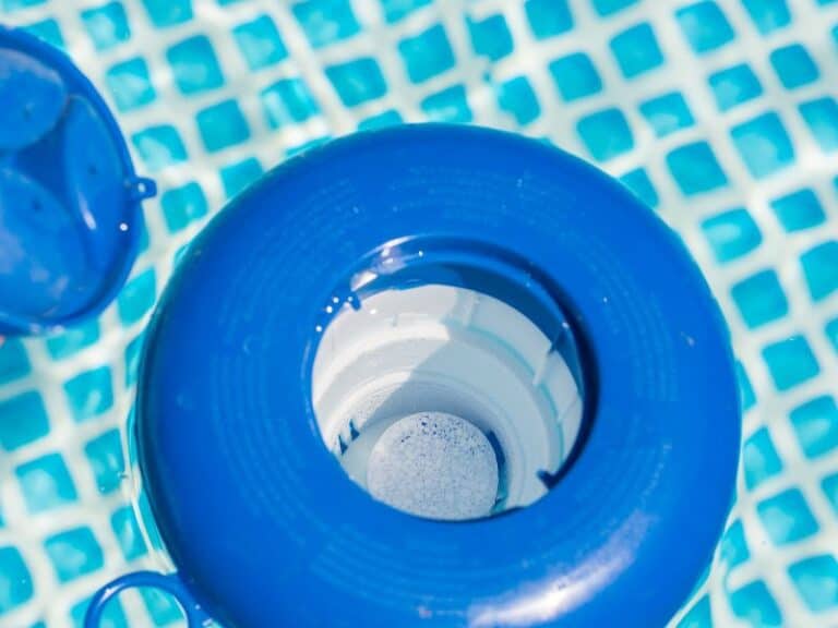 Does Chlorine Kill Algae Straightforward Answers