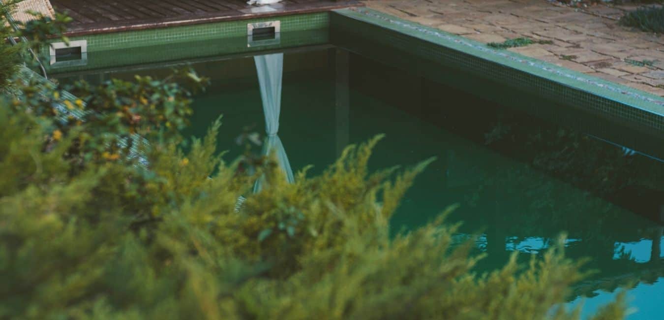 Pool Phosphates Best Tips & Ultimate Pool Owner